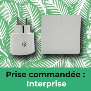 prise commandée